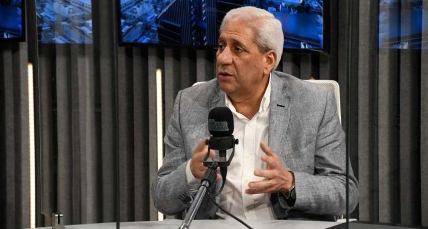 Neder: "Habr&iacute;a que eliminar las PASO, para eso est&aacute;n los partidos pol&iacute;ticos"