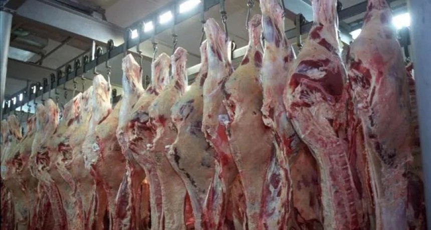 Postergan el troceo de la carne y frigor&iacute;ficos de Santa Fe plantean otros "medios mec&aacute;nicos" para mantener la media res