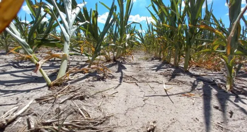 Por la sequ&iacute;a, productores del centro norte de Santa Fe retrasan la siembra de soja 