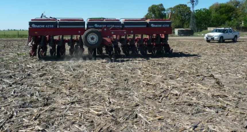 Sembrar o esperar, esa es la cuesti&oacute;n 