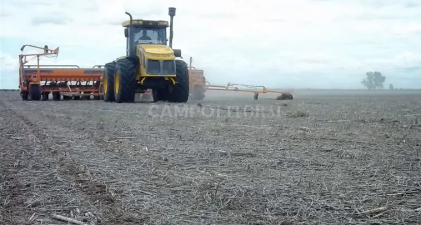  "No est&aacute; lloviendo lo suficiente para sembrar la soja"