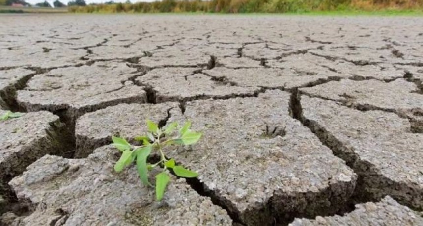 Sequ&iacute;aa devastadora: el gobierno sigue ganando mientras el productor pierde