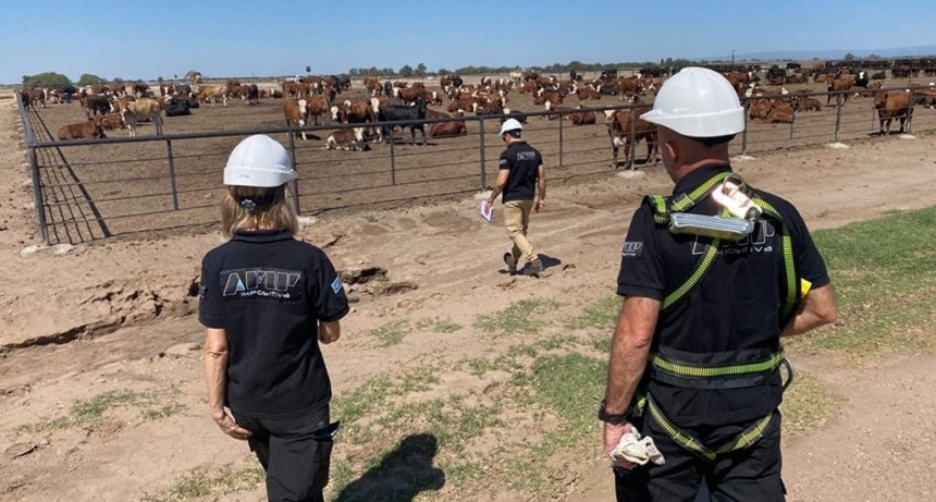 La AFIP sancion&oacute; a feedlots por subdeclarar stocks de granos