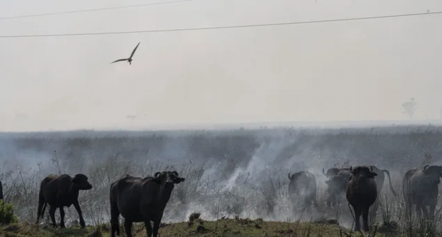 Proyectan p&eacute;rdidas de hasta U$S 4.000 millones por la sequ&iacute;a