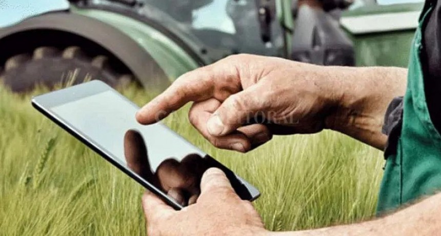 Tutorial: paso a paso, el tr&aacute;mite para obtener la compensacion para sembrar soja o ma&iacute;z 