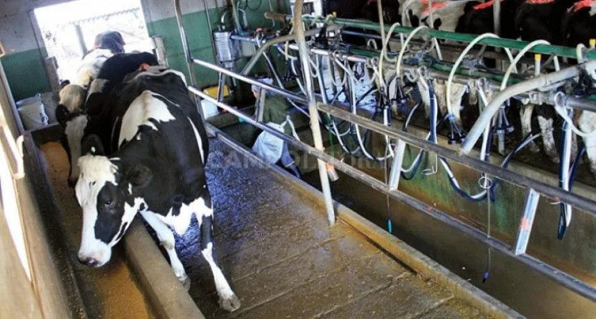 Lluvia y algo más: la normalización en el campo dependerá también de la eficiencia financiera 