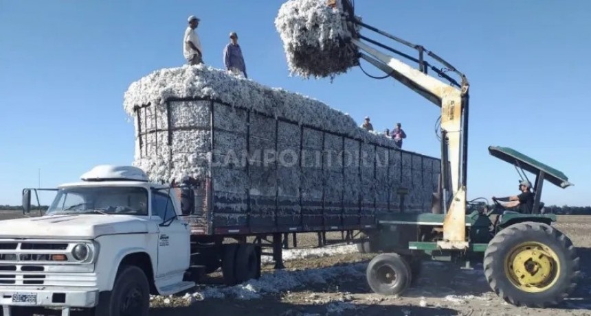 Septiembre rojo: uno de los peores meses en el semáforo de Coninagro 
