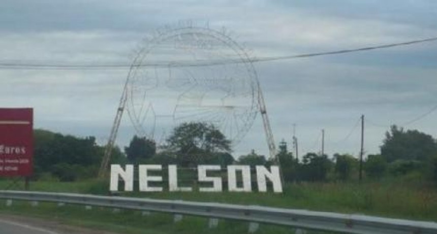 Robaron numerosas herramientas de una maderera de Nelson