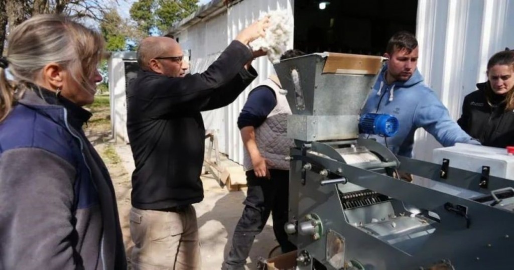 Desarrollan una máquina para el desmotado de algodón en pequeña escala