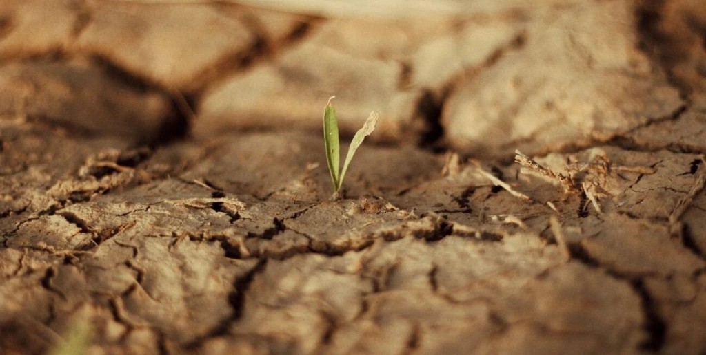 Cómo el cambio climático está afectando la salud de la población santafesina y de la región