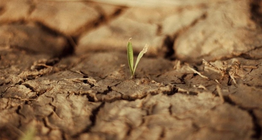 Cómo el cambio climático está afectando la salud de la población santafesina y de la región