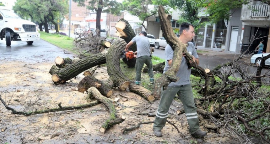 El saldo de la tormenta en Santa Fe: más de 60 calles anegadas y 25 árboles caídos