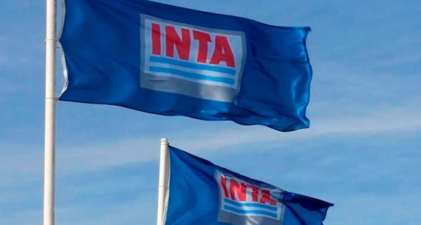 Despidos y venta de edificios y tierras: así es el plan de modernización del INTA