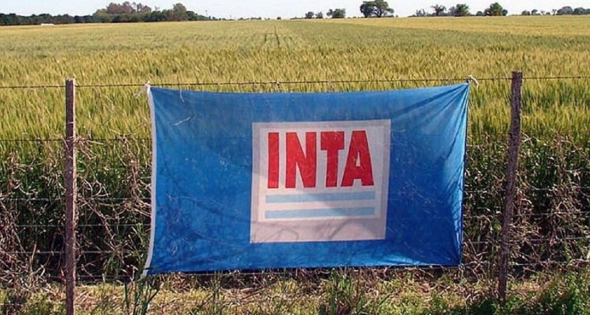 Aprobación parcial del Plan de Modernización del INTA: se limita la venta de inmuebles y no habrá despidos