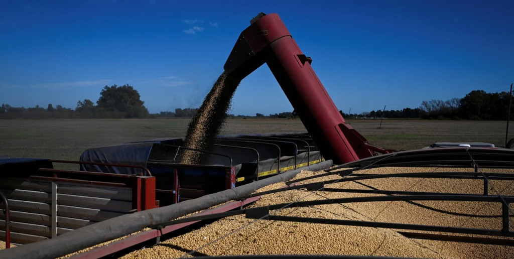 Con lo liquidado entre enero y octubre, 2025 ya es el tercer mejor año en aporte de dólares del agro ​