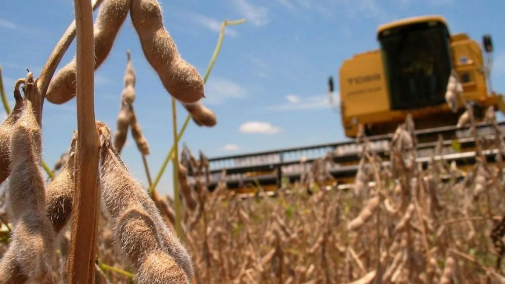 Un bioestimulante a partir de la molienda de soja: la UNL y el desafío de refuncionalizar los residuos