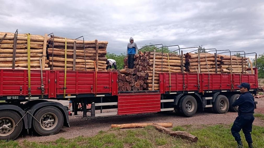 Decomisaron una carga de postes de itín en un control policial en Ojo de Agua