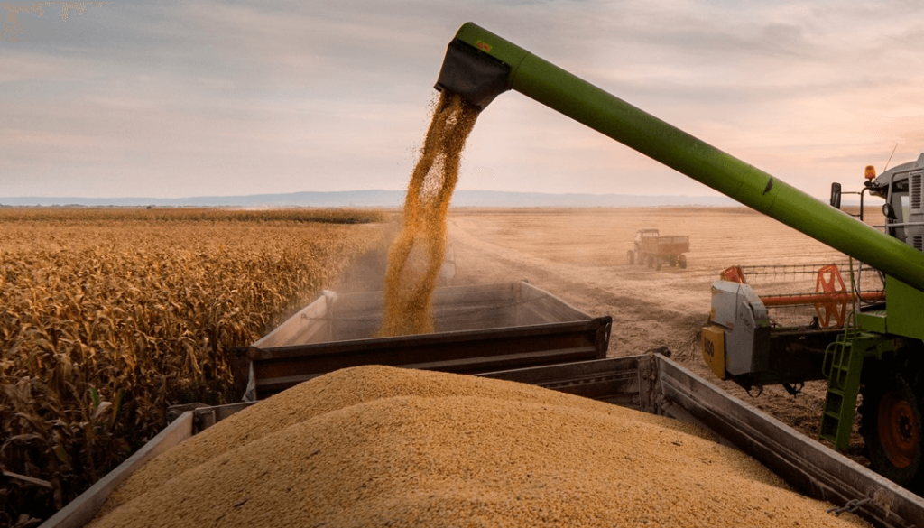 Se lanzó un Índice de Actividad de la Cadena Agropecuaria, que confirma la fortaleza actual del sector