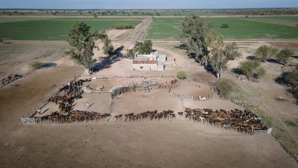 Inmobiliario Rural y exenciones: las novedades que trae la Ley Tributaria para el agro en Santa Fe