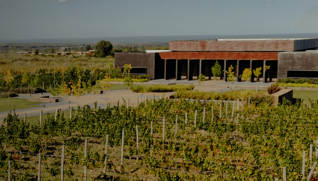 Las polémicas de ‘Chiqui’ Tapia también llegan al agro: quién está detrás de la bodega vinculada con la AFA