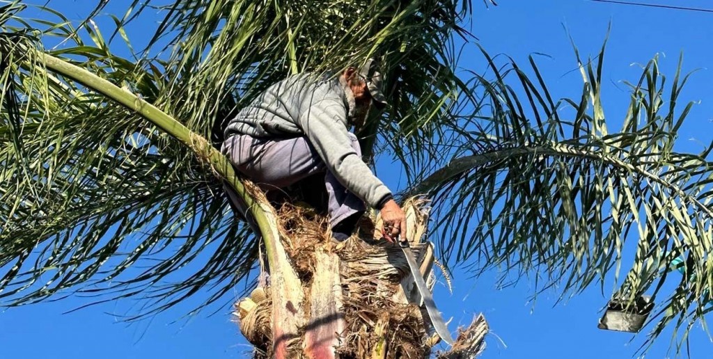 La informalidad laboral del sector privado promedia un 45,4% en el Gran Santa Fe