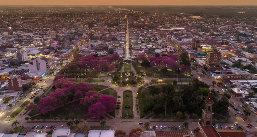 Media sanción para plantar un millón de árboles en la provincia de Santa Fe