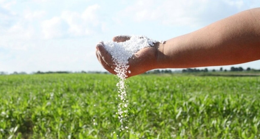 Deterioro: los fertilizantes están en fase alcista y ponen en jaque la rentabilidad de los cereales