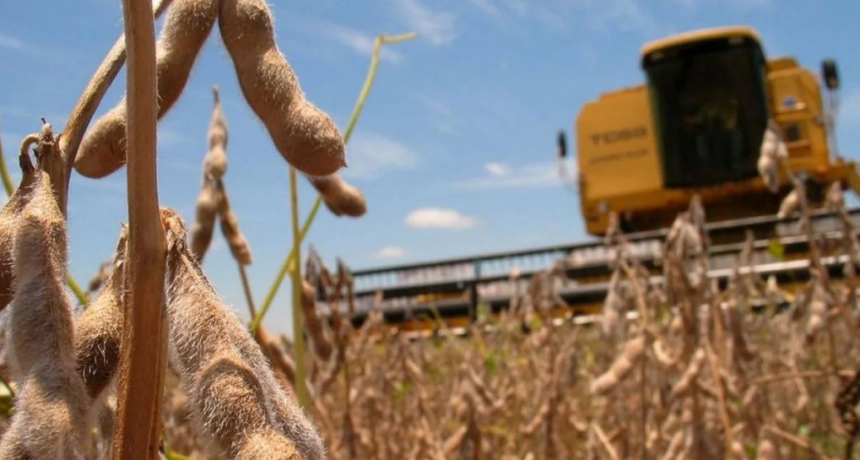 Un bioestimulante a partir de la molienda de soja: la UNL y el desafío de refuncionalizar los residuos