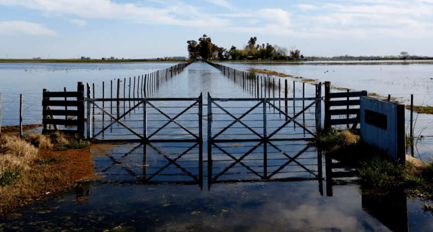 “Ilegal e improcedente”: fuerte crítica de CARBAP por la suba del Inmobiliario Rural en medio de las inundaciones