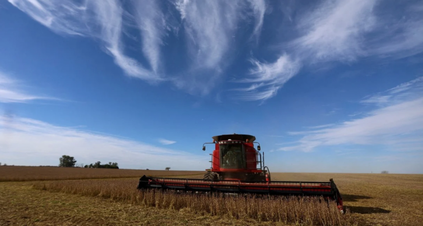 Récord de exportaciones de soja para noviembre