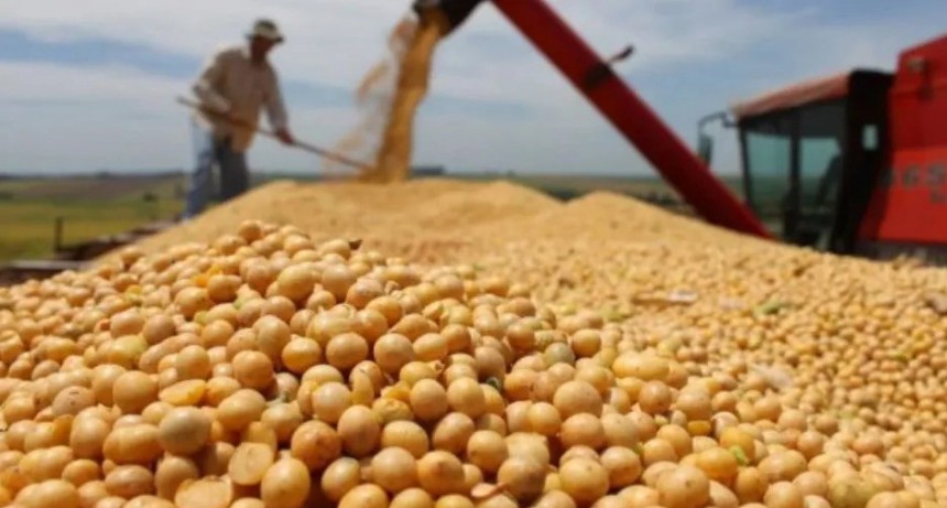 Los primeros tres d&iacute;as del nuevo "d&oacute;lar soja" se liquidaron un mill&oacute;n de toneladas de la oleaginosa