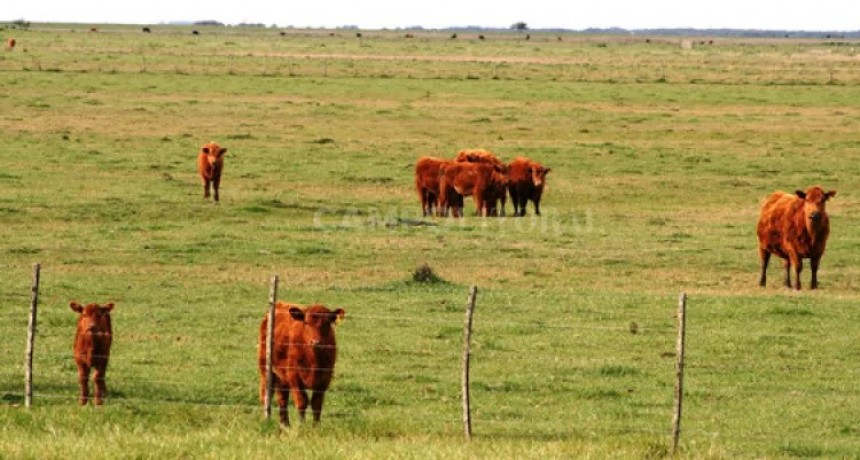 Argentina pierde $260.000 millones por a&ntilde;o