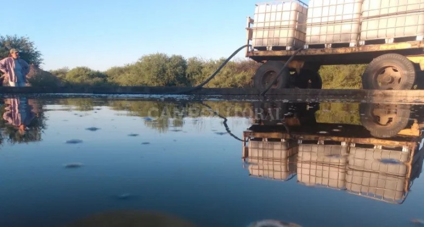 Peque&ntilde;os ganaderos buscan acarrear agua en tanques o barriles para salvar su hacienda 