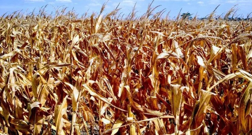 La sequ&iacute;a y los grandes des&oacute;rdenes productivos