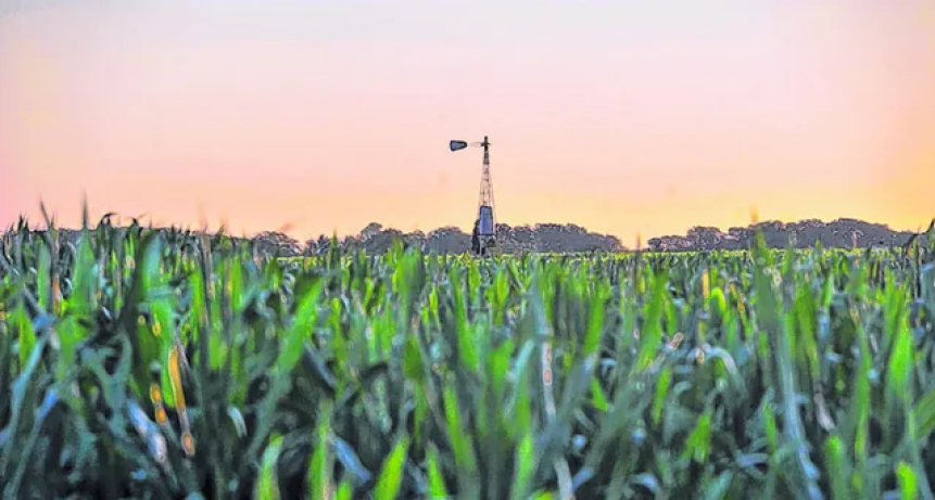 La inflaci&oacute;n atenta contra la seguridad alimentaria global