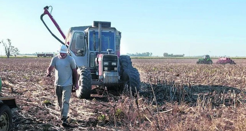 Un fantasma recorre el agro: la terrible sequ&iacute;a de 2008/2009