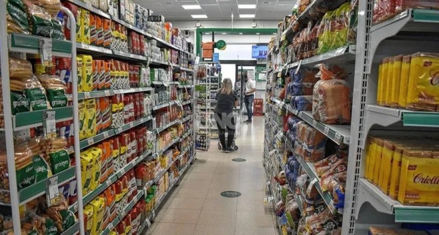 La inflaci&oacute;n de noviembre fue del 4,9% y el aumento interanual trep&oacute; al 92,4%