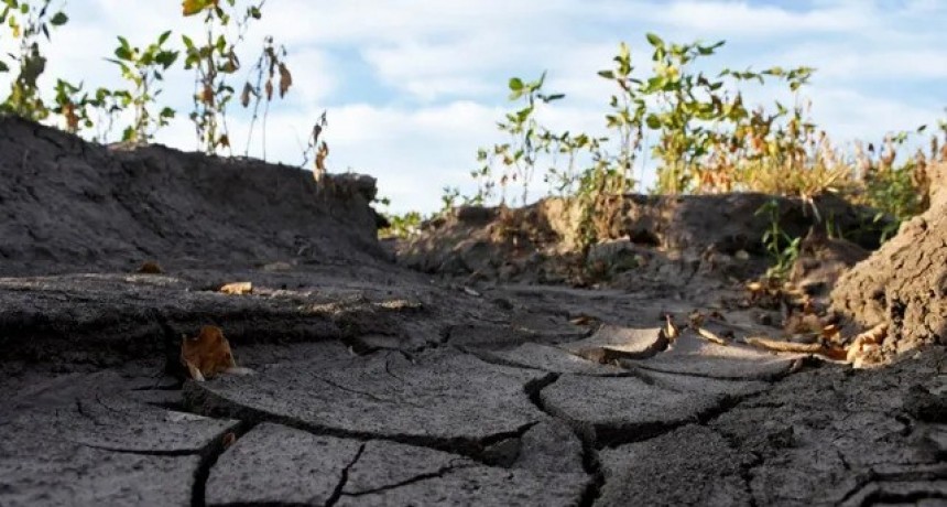 Sequ&iacute;a: hay alerta roja en los cultivos de soja de primera