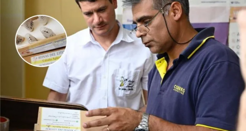 Abejas por correo: se podr&aacute; enviar material ap&iacute;cola vivo por Correo Argentino 