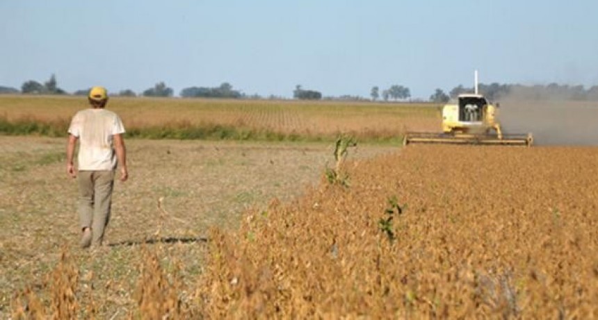 Productores santafesinos frenan siembra de ma&iacute;z y soja por falta de lluvias