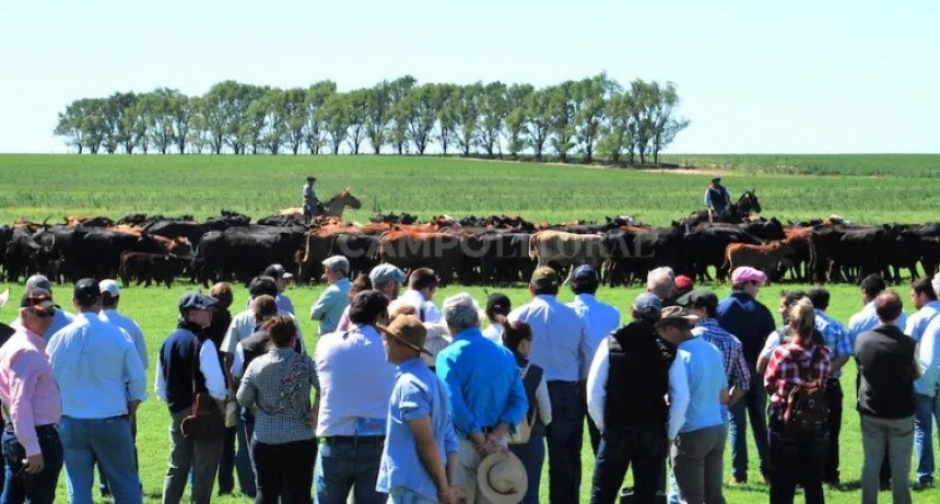  La pasi&oacute;n mundialista contin&uacute;a con Brangus