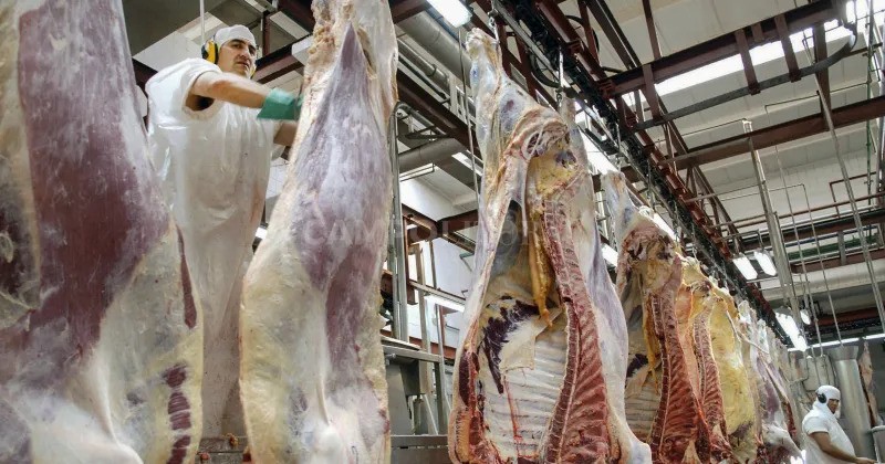 Cayeron un 6 % las exportaciones de carne vacuna  