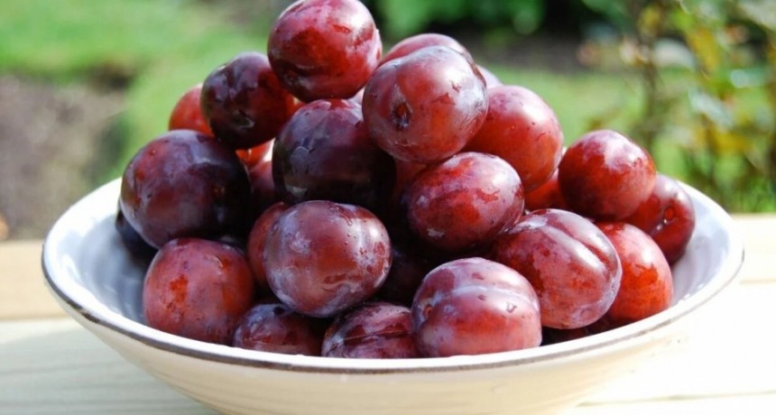 Ciruela, el superalimento esencial para la digestión y huesos fuertes 