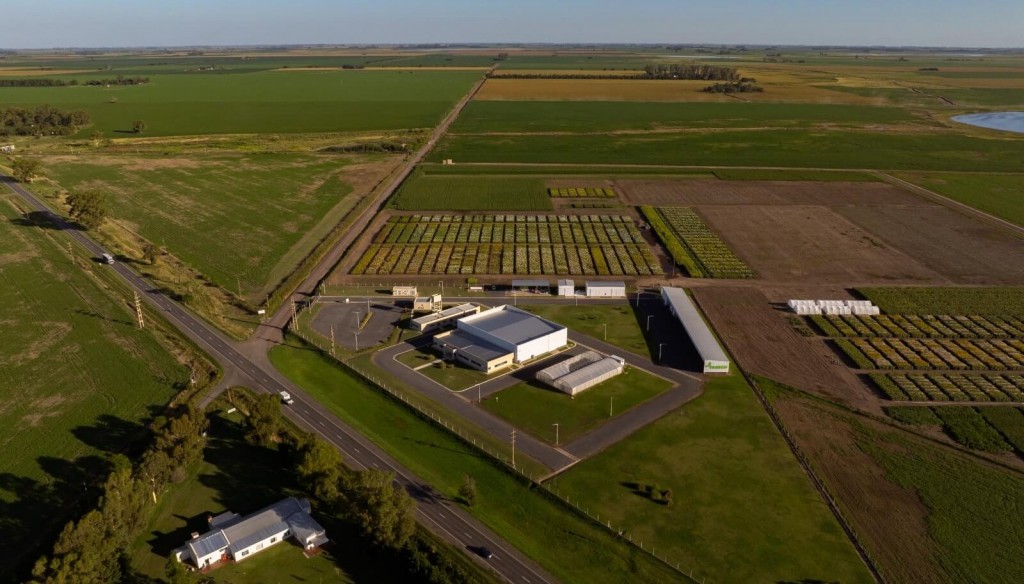 “Tenemos que pensar en una agricultura para alimentos y para biocombustibles, para las dos cosas”