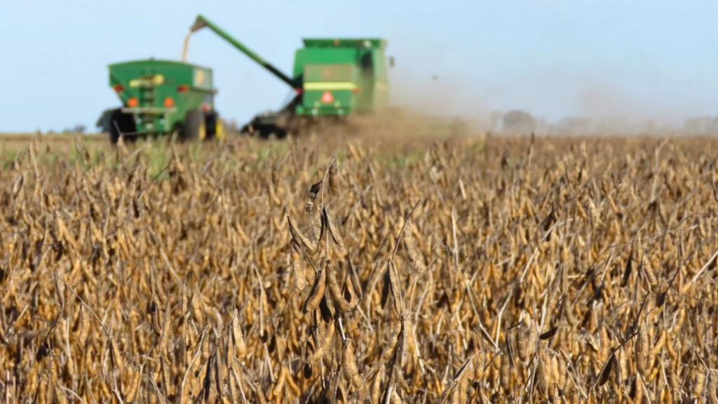 Baja de retenciones: qué esperar del mercado y cómo reaccionó el agro de Santa Fe