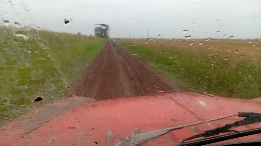 Lluvias en Santa Fe: el ranking de milímetros y qué cambia para girasol, maíz y algodón