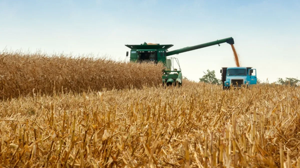 Reforma tributaria: las 12 medidas fiscales que propone CRA y cómo impactarían en la inversión agropecuaria