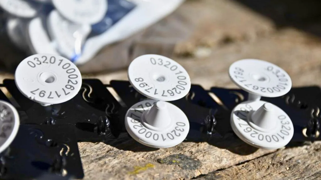 Caravana electrónica obligatoria: charla informativa en la Sociedad Rural de Vera