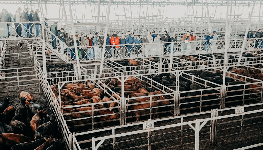 El precio de la carne, en días de Fiestas: para la Sociedad Rural Argentina hay “10 claves estructurales” que explican subas