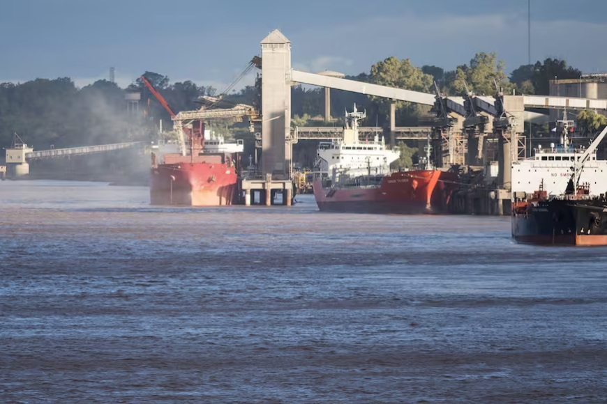 Llegaron US$4715 millones: en noviembre la agroindustria tuvo las mejores exportaciones en 10 años